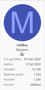 son-gorulme.PNG son-gorulme.PNG