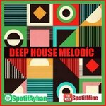 DEEP HAUSE MELODIC.jpg