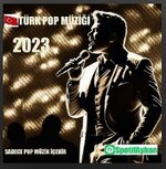 türk pop müziği 2023.jpg