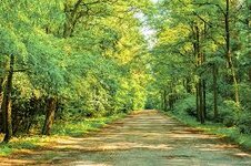 1725278830452.jpeg 1725278830452.jpeg