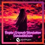 Başka Evrende Yanlızlken Dinlediklerim.jpg