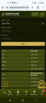 Screenshot_20250710-213441_Chrome.jpg