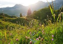 1754654415496.jpeg 1754654415496.jpeg