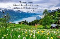 1754654657768.jpeg 1754654657768.jpeg