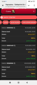 Screenshot_2025-10-11-10-40-10-834_org.telegram.messenger.web.jpg