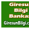giresunbilgi28