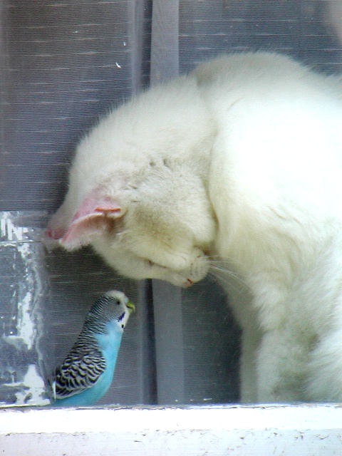 [Resim: Love_by_monicaH.jpg]