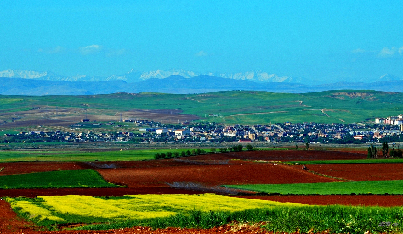 Bismil.jpg
