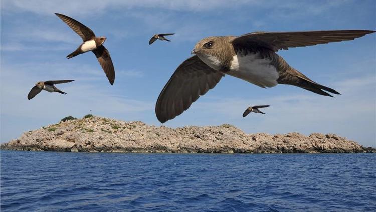 [Resim: 5e6b4174c9de3d009c33201c.jpg]