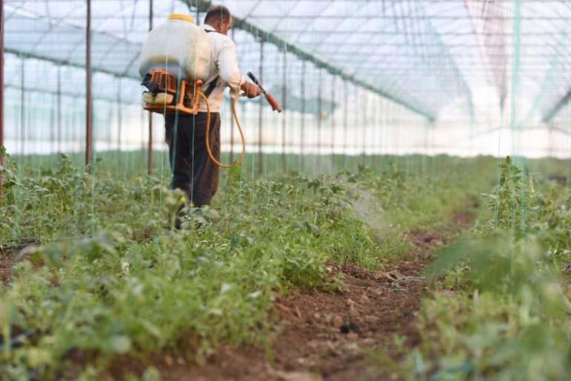 Süper Besinlerin Karanlık Yüzü: