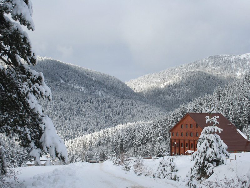 ilgaz-4.jpg