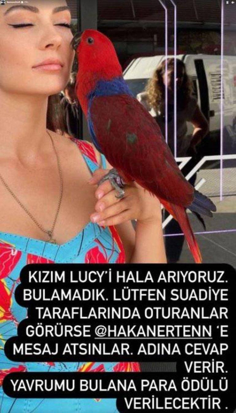 6412b8ff86b24a691c164bcd.jpg