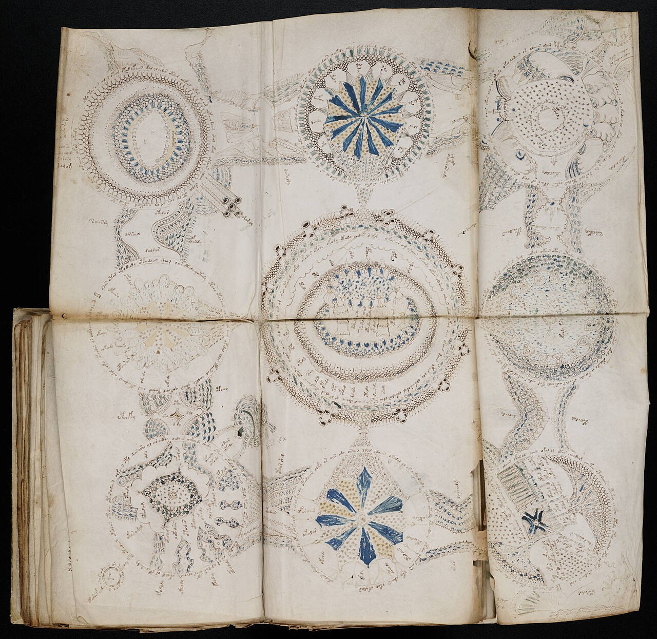 Voynich El Yazması