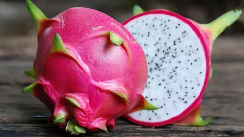 İşte kışın vücudunuzu çelik gibi yapan pek bilinmeyen o besinler: