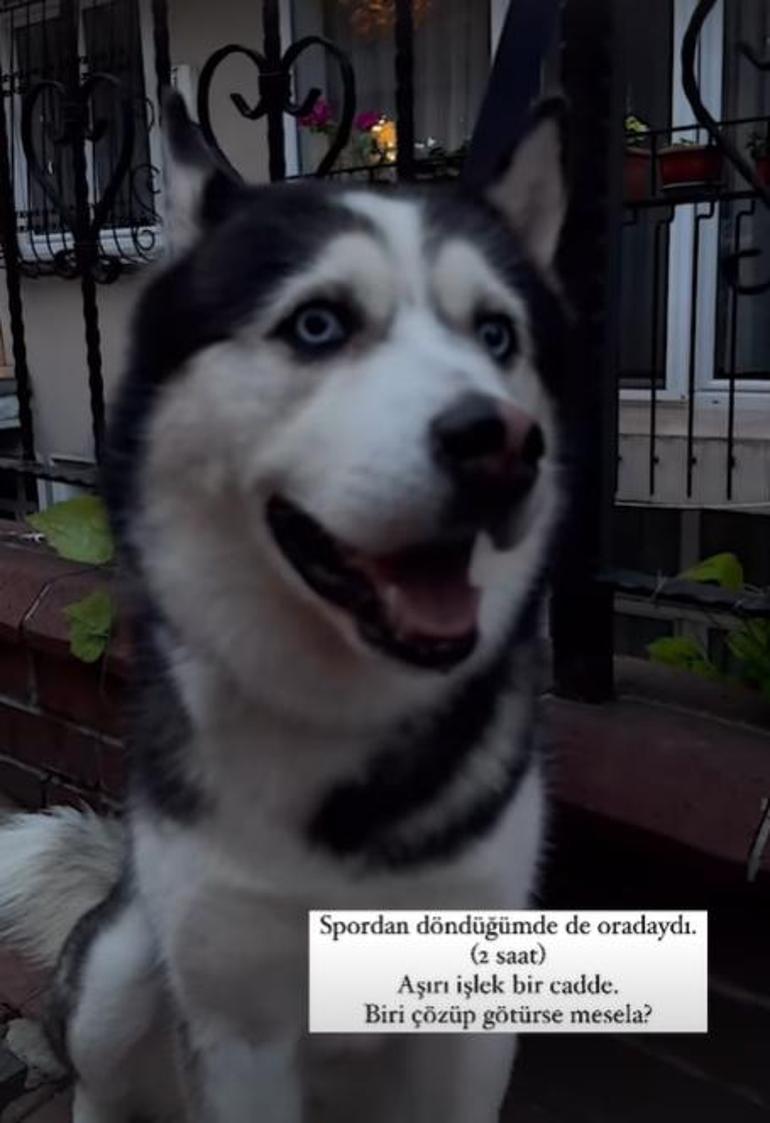 65a947788e3a7e39eb00d730.jpg