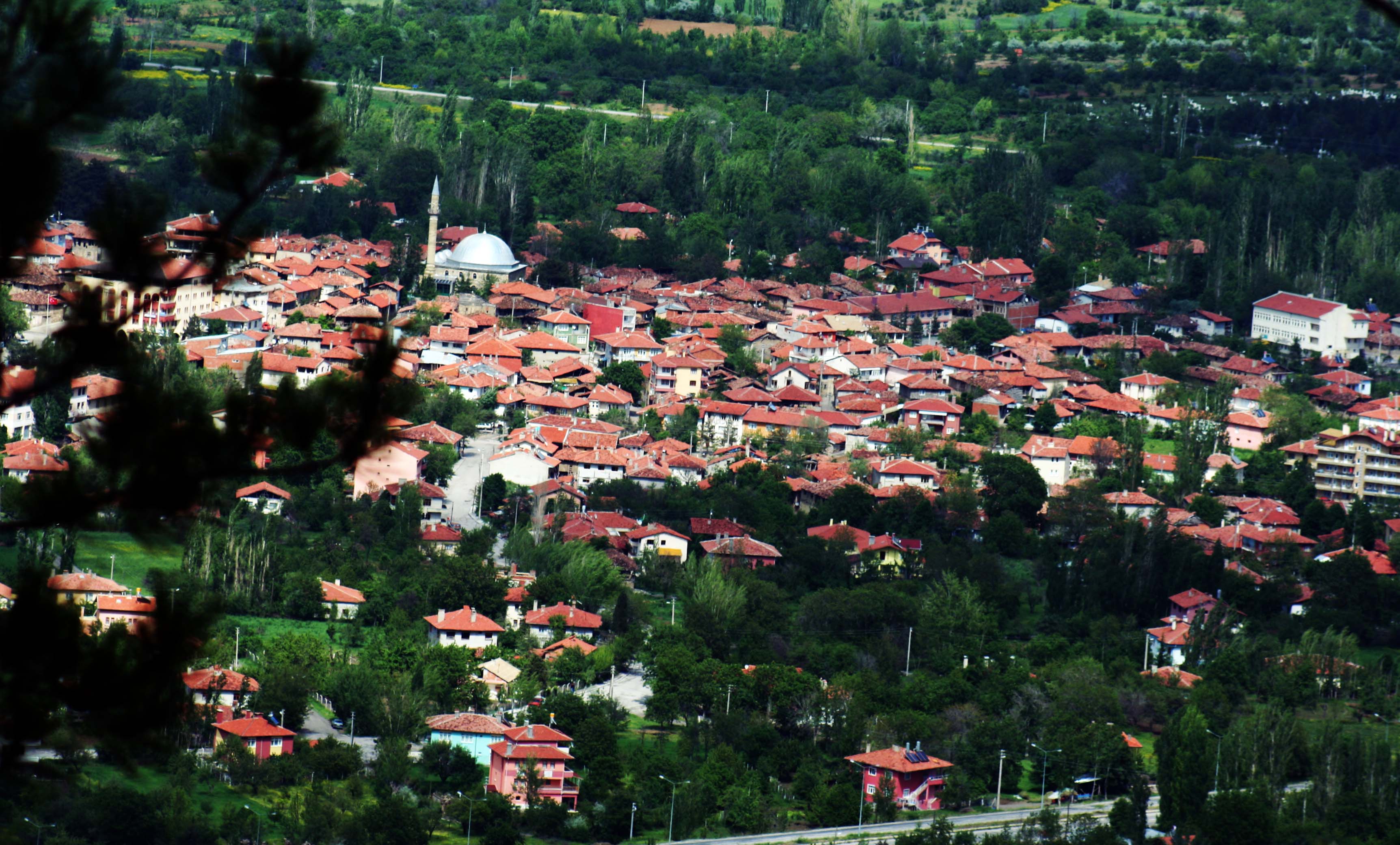 General_view_of_Eldivan.jpeg