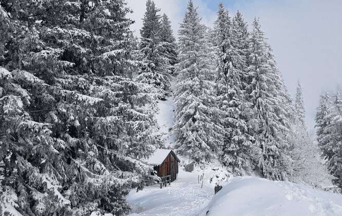 [Resim: RYuOnes.jpg]