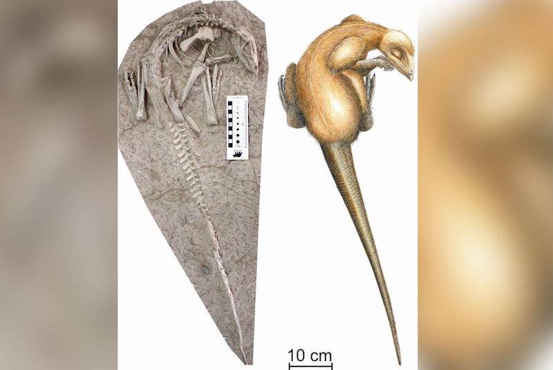 [Resim: eternal1.jpg]