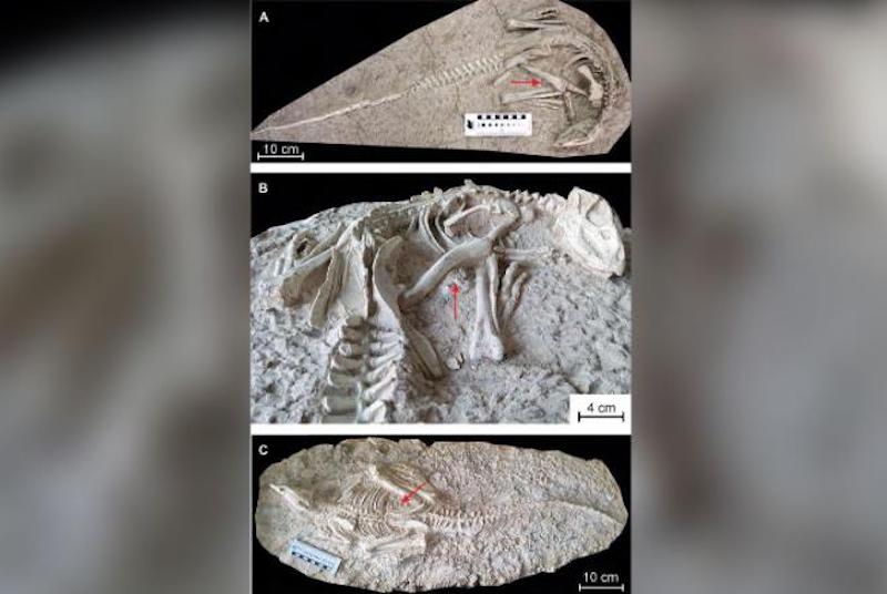 [Resim: eternal3.jpg]