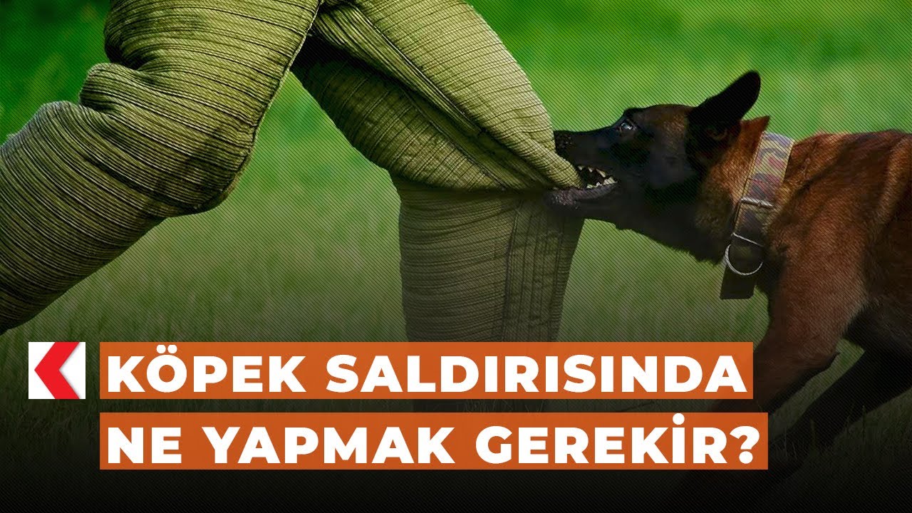 [Resim: maxresdefault.jpg]