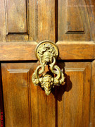 [Resim: 45376417a6d26dsc01088eb6.jpg]