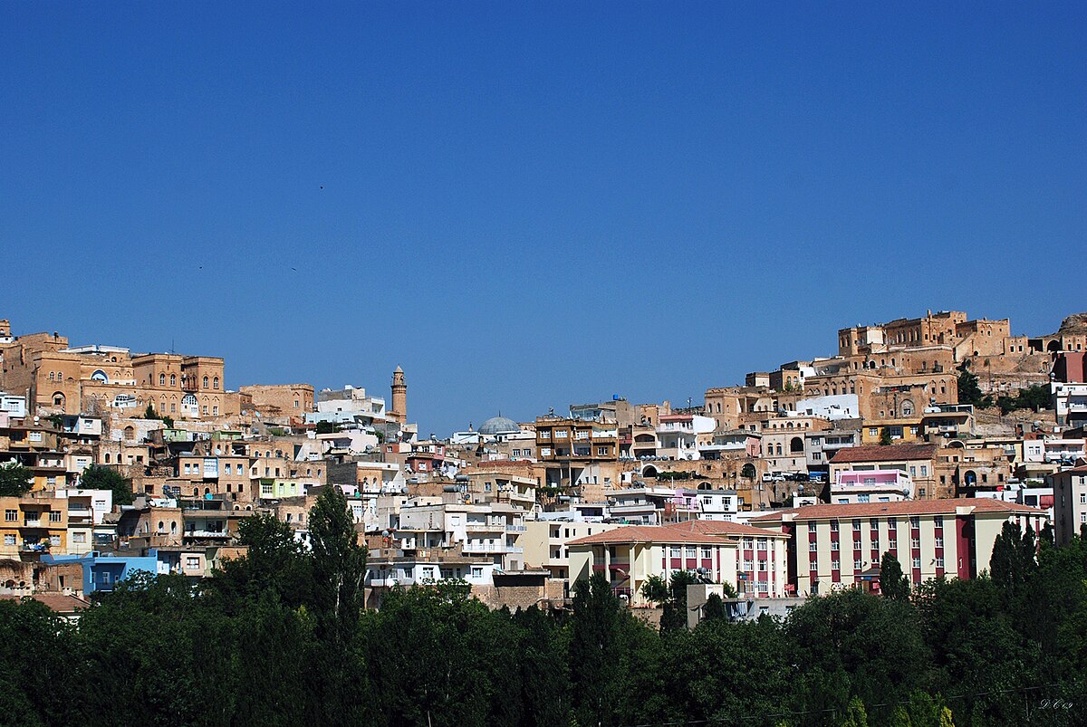 1200px-Stewr.jpg