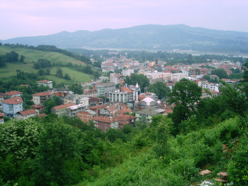 caycumagrnt.jpg